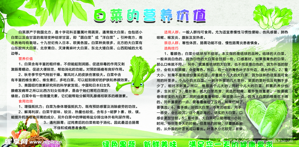 白菜的 营养价值
