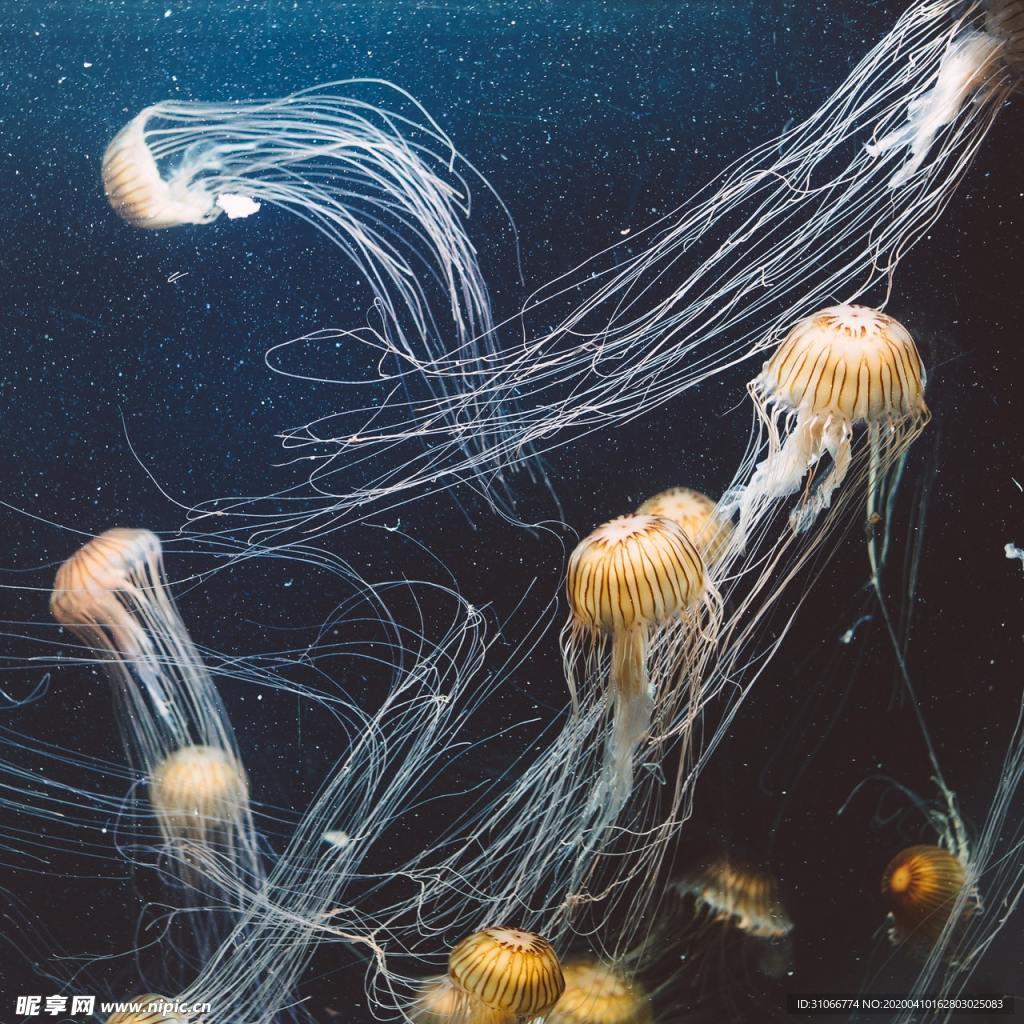 海底世界