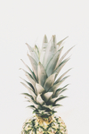 水果