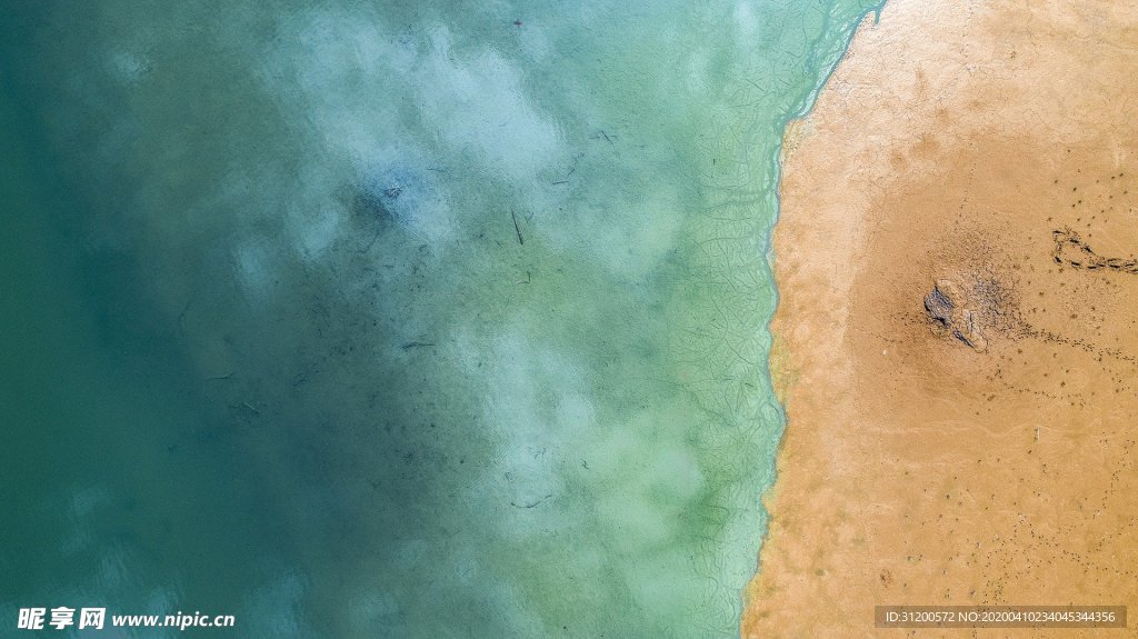 海岸