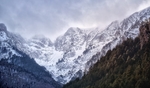 雪山森林景观