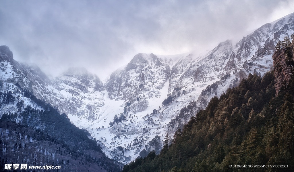 雪山森林景观