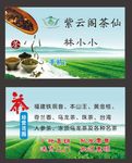 茶叶名片  茶园