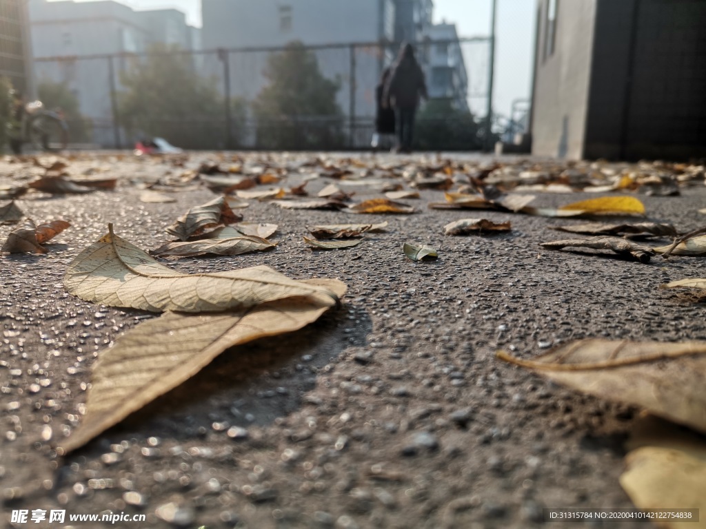 学院景色