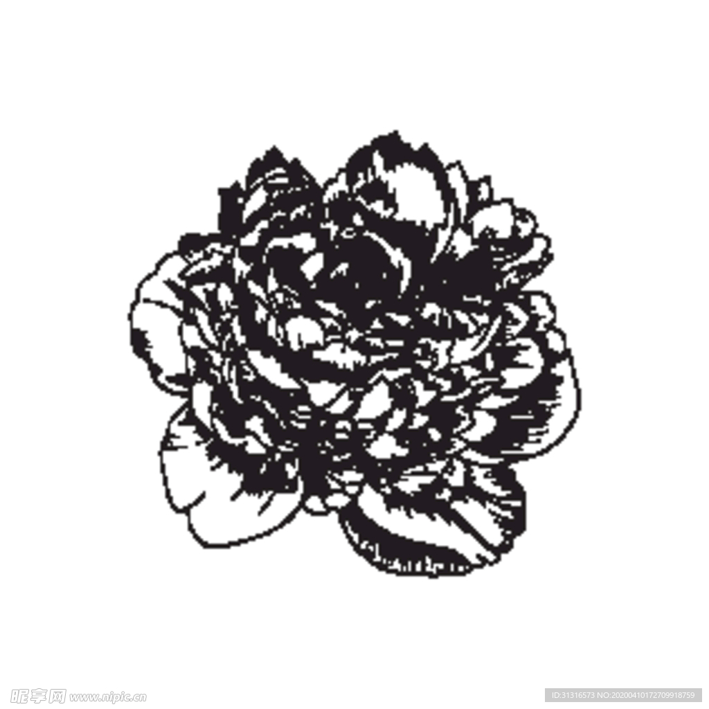 花 简笔画