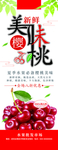 樱桃