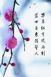 节气图片