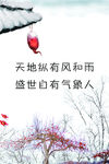 节气图片