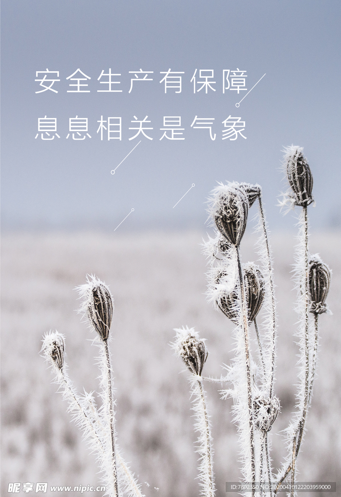 节气图片