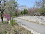 山村春景