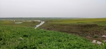 冬季河滩