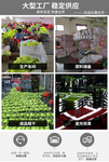 淘宝 反光背心 首图 直通车图