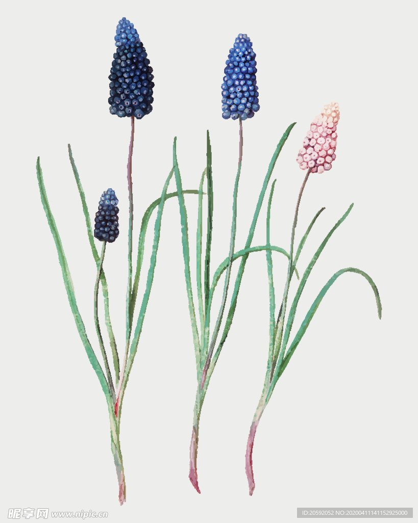 花纹