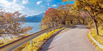 湖光山色道路树木风光