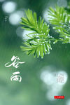 谷雨