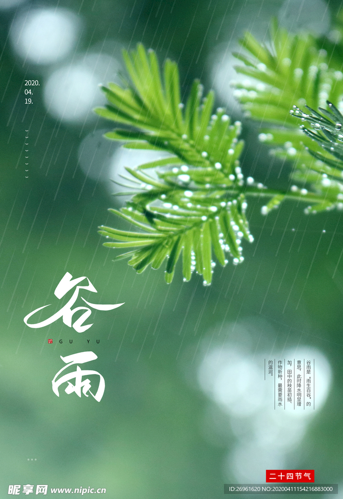 谷雨