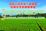 培育优质水稻海报