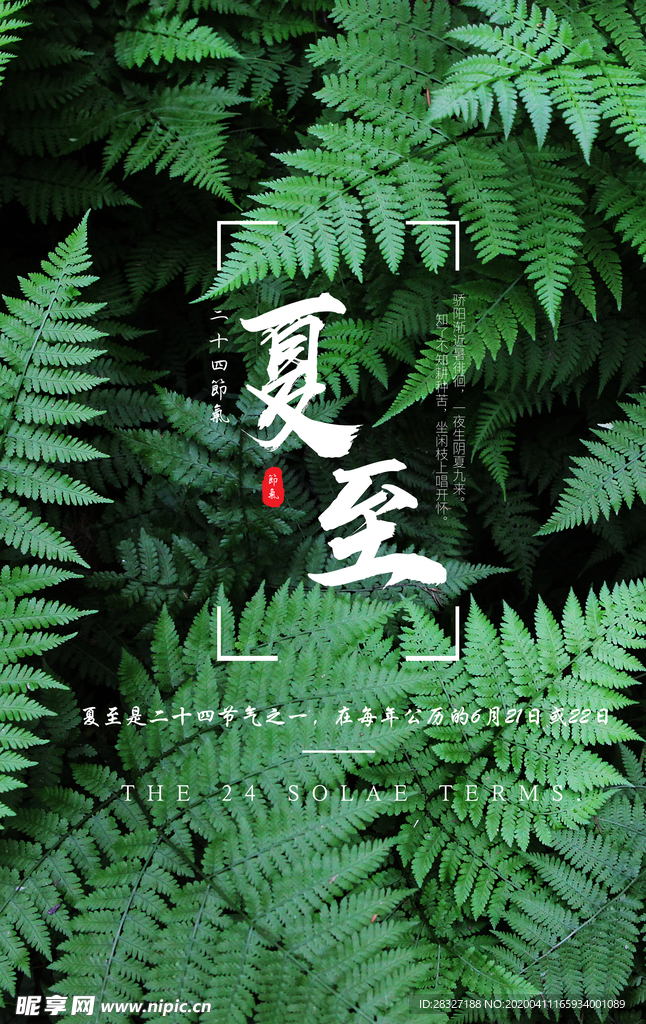 夏至海报