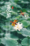 夏至海报