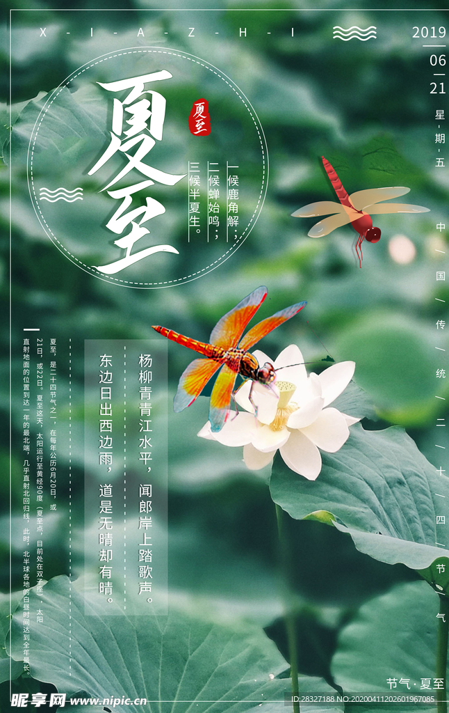 夏至海报