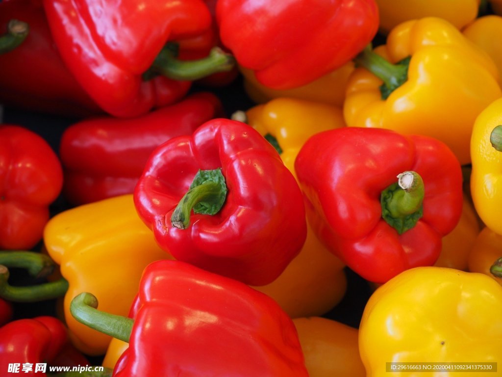 白底蔬菜黄椒彩椒菜椒一个彩椒新鲜蔬菜图片免费下载 - 觅知网
