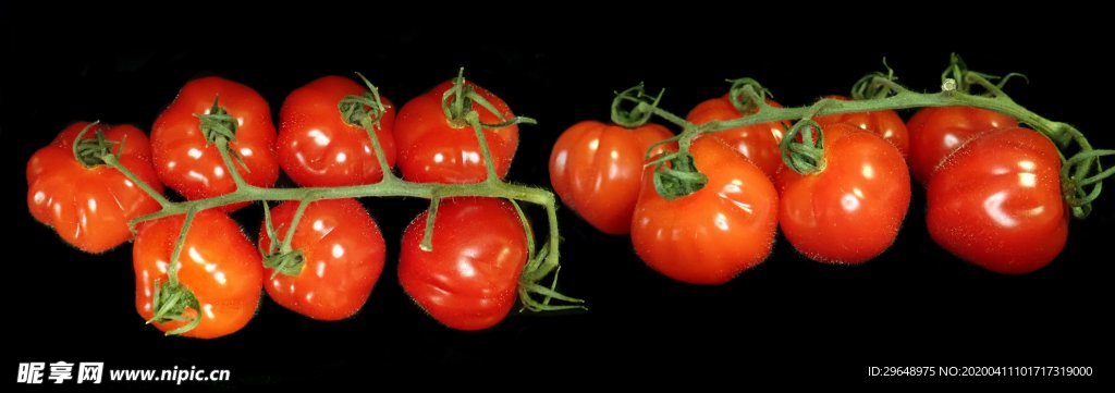 西红柿 蔬菜 水果 水珠 水滴