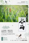 谷雨海报