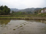 山村