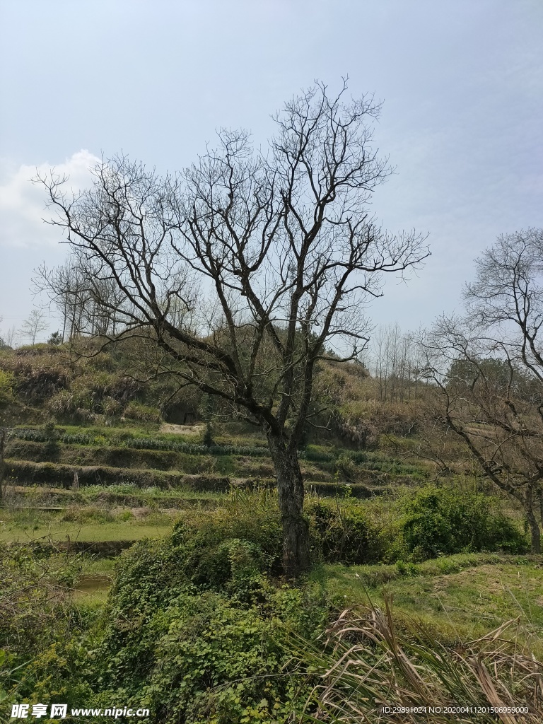 山村