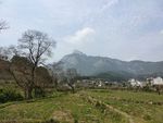山