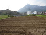 山村