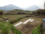 山村