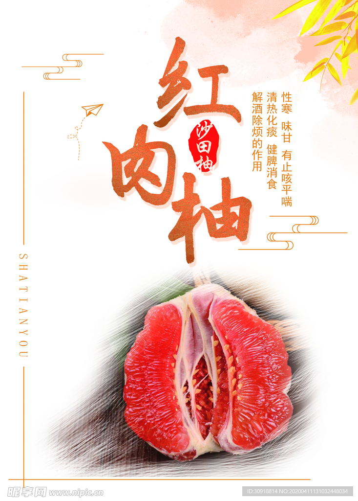 红柚肉 沙田柚海报