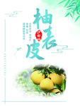 柚表皮 沙田柚海报