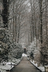 雪景幽径