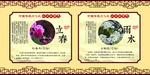 二十四节气