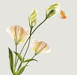 花