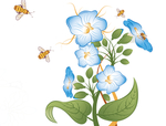 花