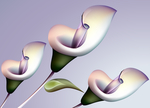 花