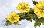 花