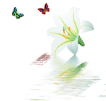 花