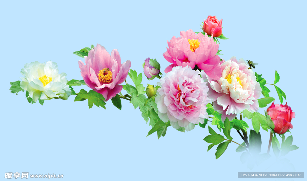 花
