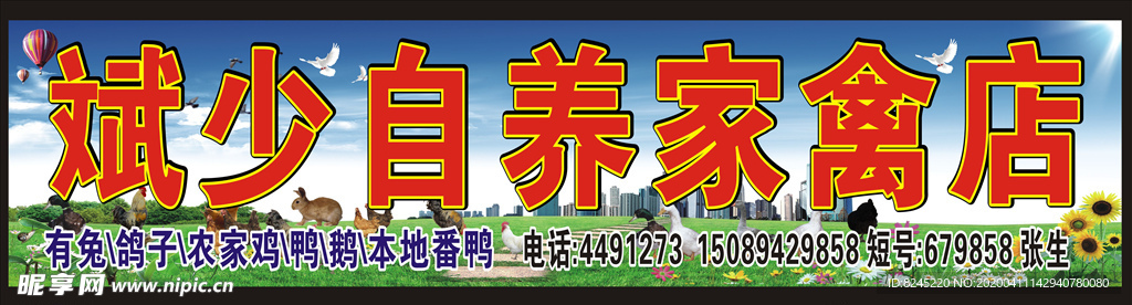 自养家禽店