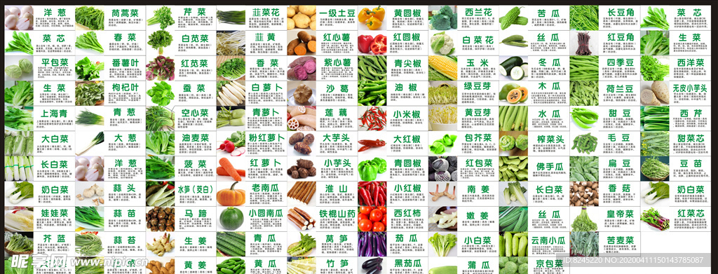 蔬菜功能图