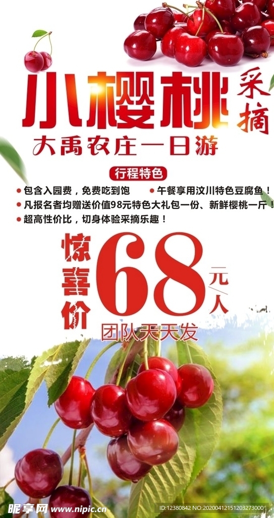 樱桃