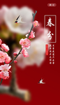 春分节气海报