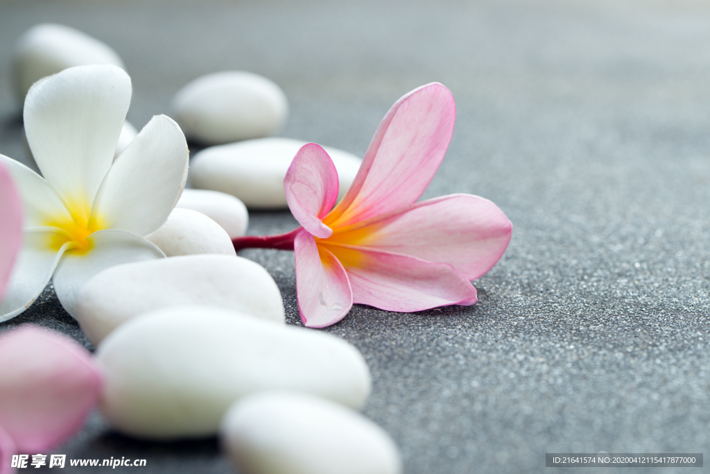 花朵与白色的砭石特写