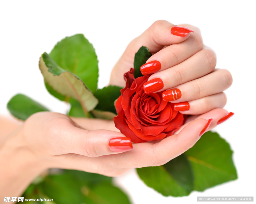 精致美甲手中的玫瑰花