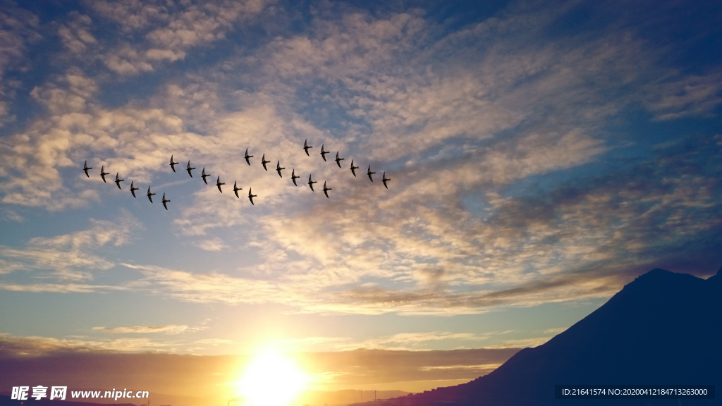 夕阳下在空中飞行的鸟群