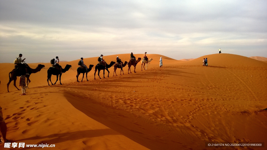 沙漠上的行走的驼队